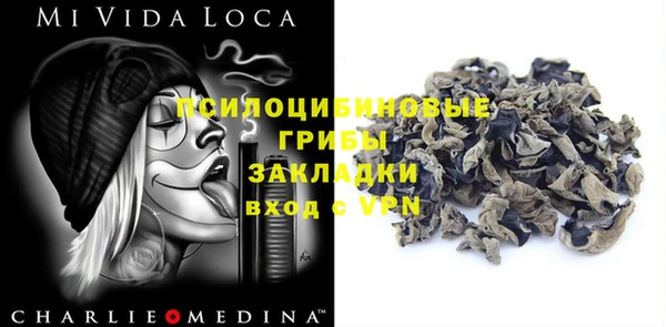 PSILOCYBIN Абаза