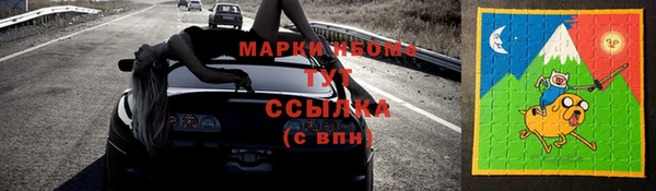 твердый Аркадак