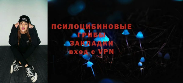 2c-b Алексеевка