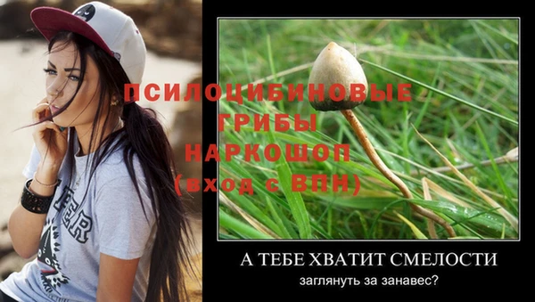 тгк Абинск