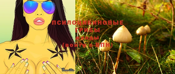твердый Аркадак