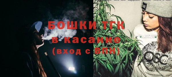 мдпв Ельня