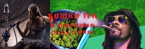 твердый Аркадак