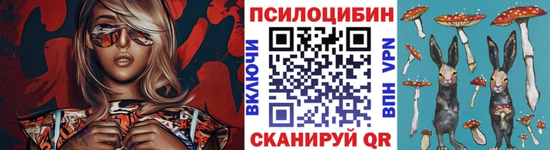 Галлюциногенные грибы Psilocybe Златоуст