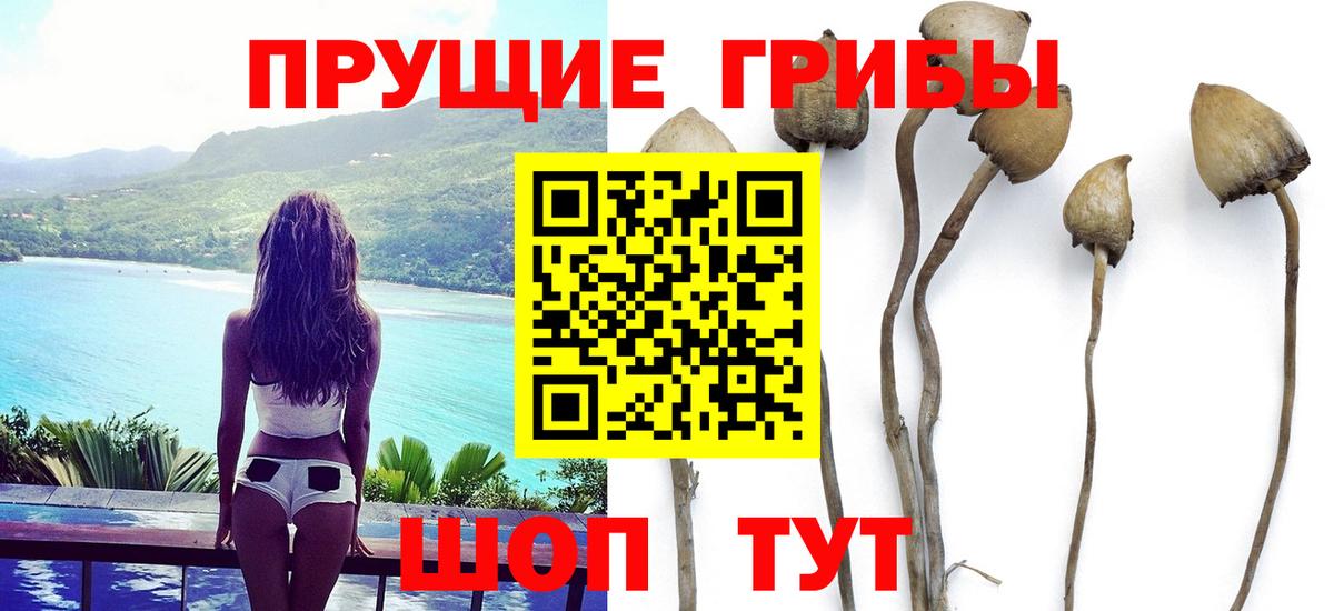 Златоуст  Псилоцибиновые грибы Magic Shrooms  Вход с VPN 