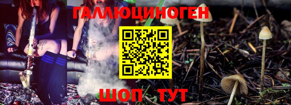 Галлюциногенные грибы прущие грибы Златоуст