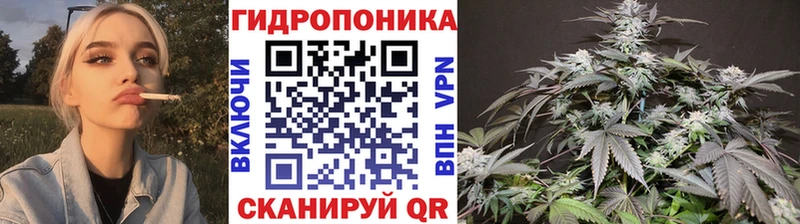 Конопля сатива Златоуст